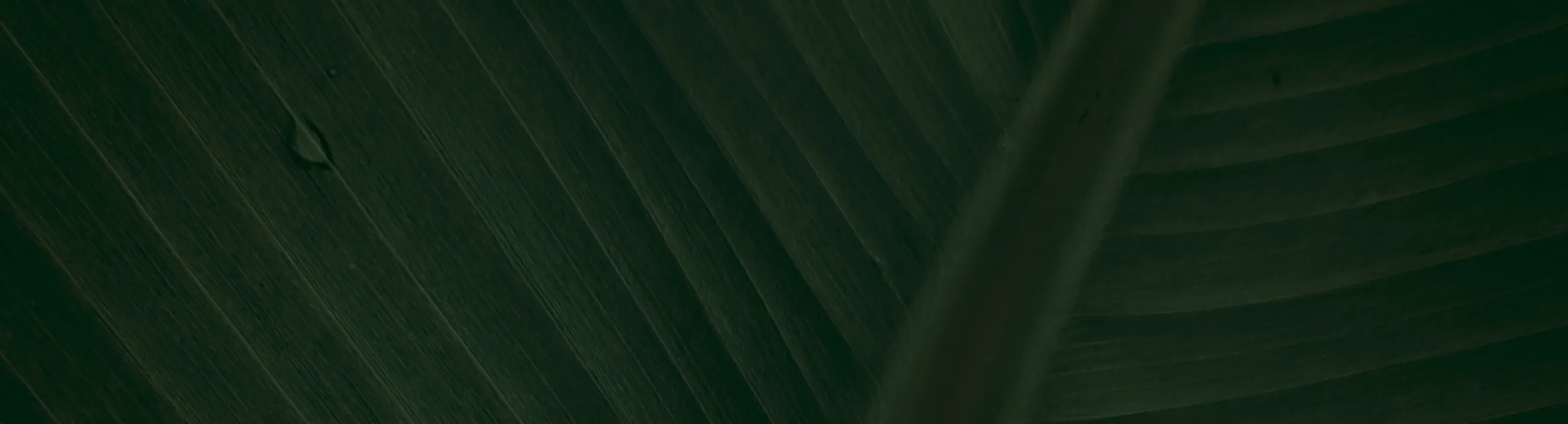 กรงต้นไม้ แบบสวม ช่วยพยุงต้นไม้