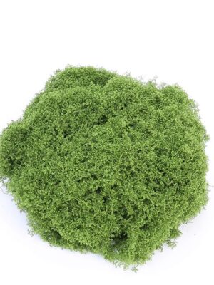 5 มอสจําลอง มอสสีเขียว มอสปลอม สําหรับตกแต่งบ้าน สวน DIY