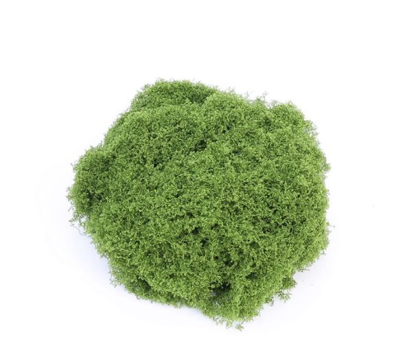 มอสจําลอง มอสสีเขียว มอสปลอม สําหรับตกแต่งบ้าน สวน DIY