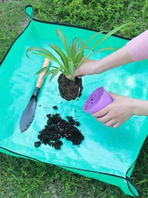 เสื่อปลูกต้นไม้วัสดุ PE | ปูรองเปลี่ยนดิน กันน้ำ 100% ป้องกันพื้นสกปรก เหมาะสำหรับทำสวนในร่ม