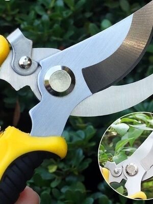 กรรไกรสำหรับตัดแต่งกิ่งไม้