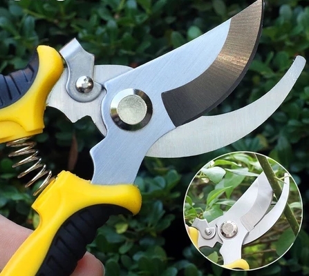 กรรไกรสำหรับตัดแต่งกิ่งไม้