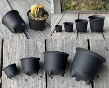 กระถางแคคตัส