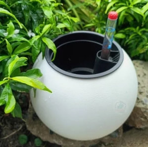 กระถางรดน้ําอัตโนมัติ ทรงกลม