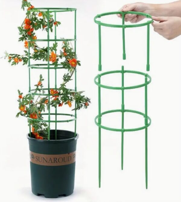 การรองรับพืชแบบซ้อน 5 ชั้น