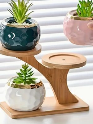 ที่วางต้นไม้ไผ่หลายฟังก์ชัน