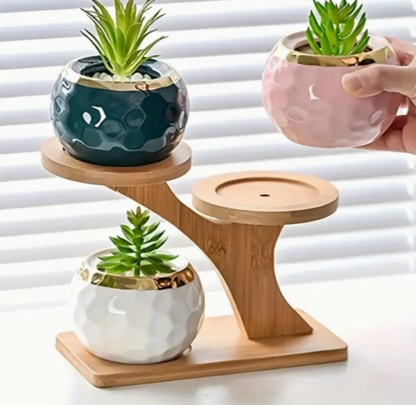 ที่วางต้นไม้ไผ่หลายฟังก์ชัน