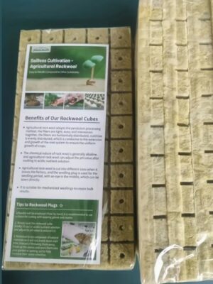 บล็อกสำหรับการปลูกพืชโดยไม่ใช้ดิน