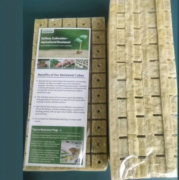 บล็อกสำหรับการปลูกพืชโดยไม่ใช้ดิน