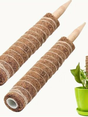 เสาตะไคร่น้ำมะพร้าวโค้งงอได้